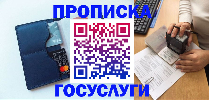 временная регистрация для всех в Зиме